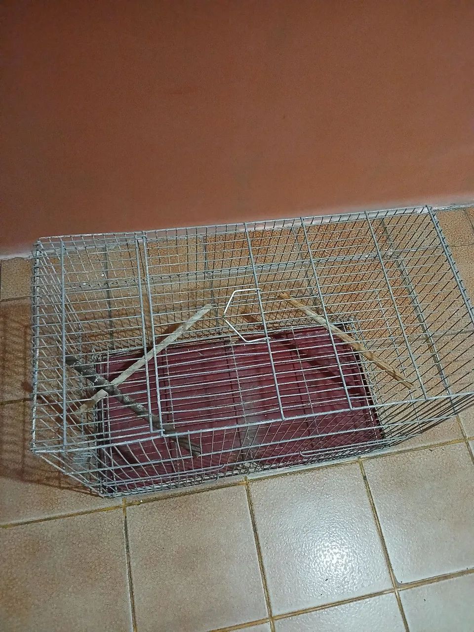 Gaiola Grande para pássaros  - Foto 3