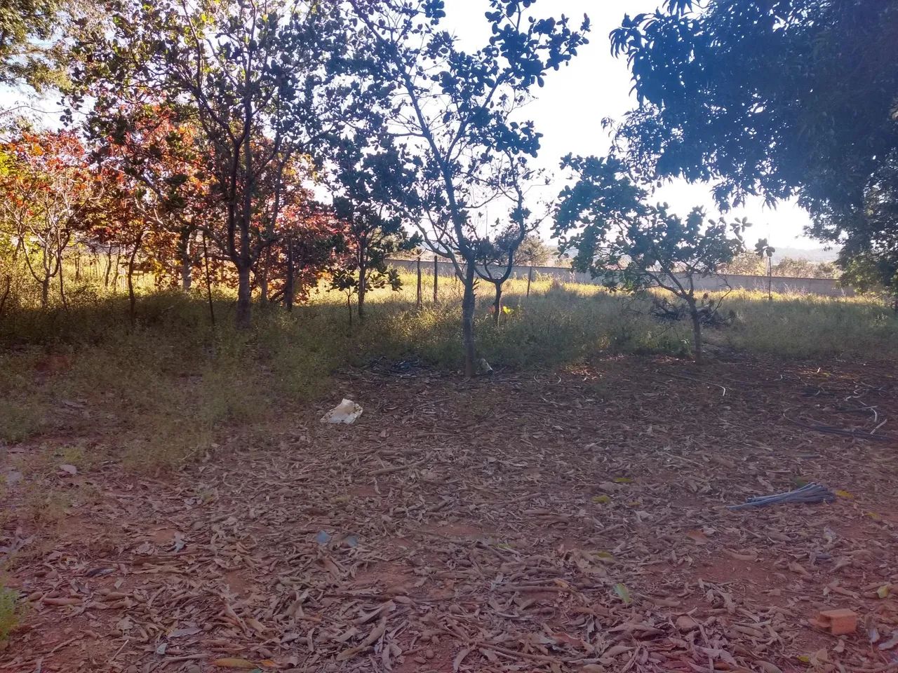 Áreas a venda - Foto 2