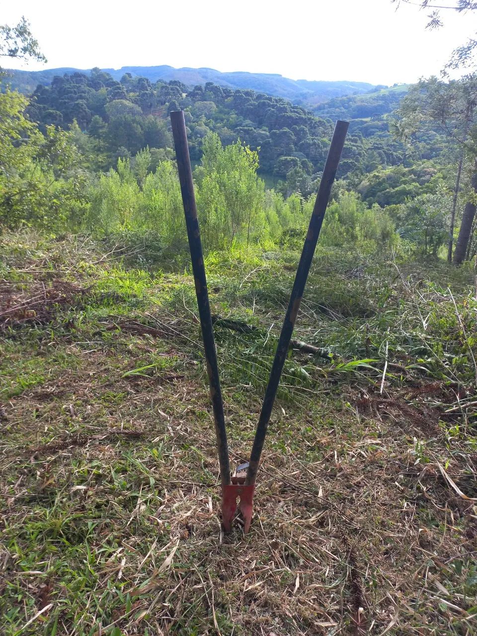 Formação de chácaras  - Foto 2