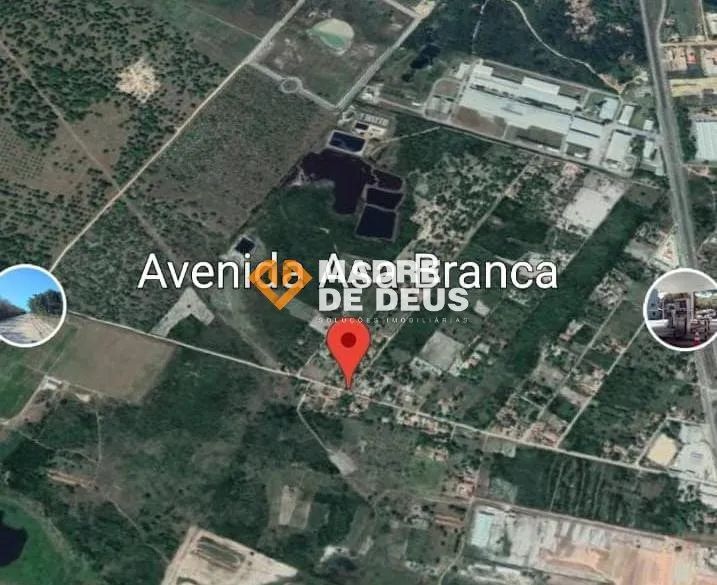 Excelente terreno em Horizonte - Foto 3