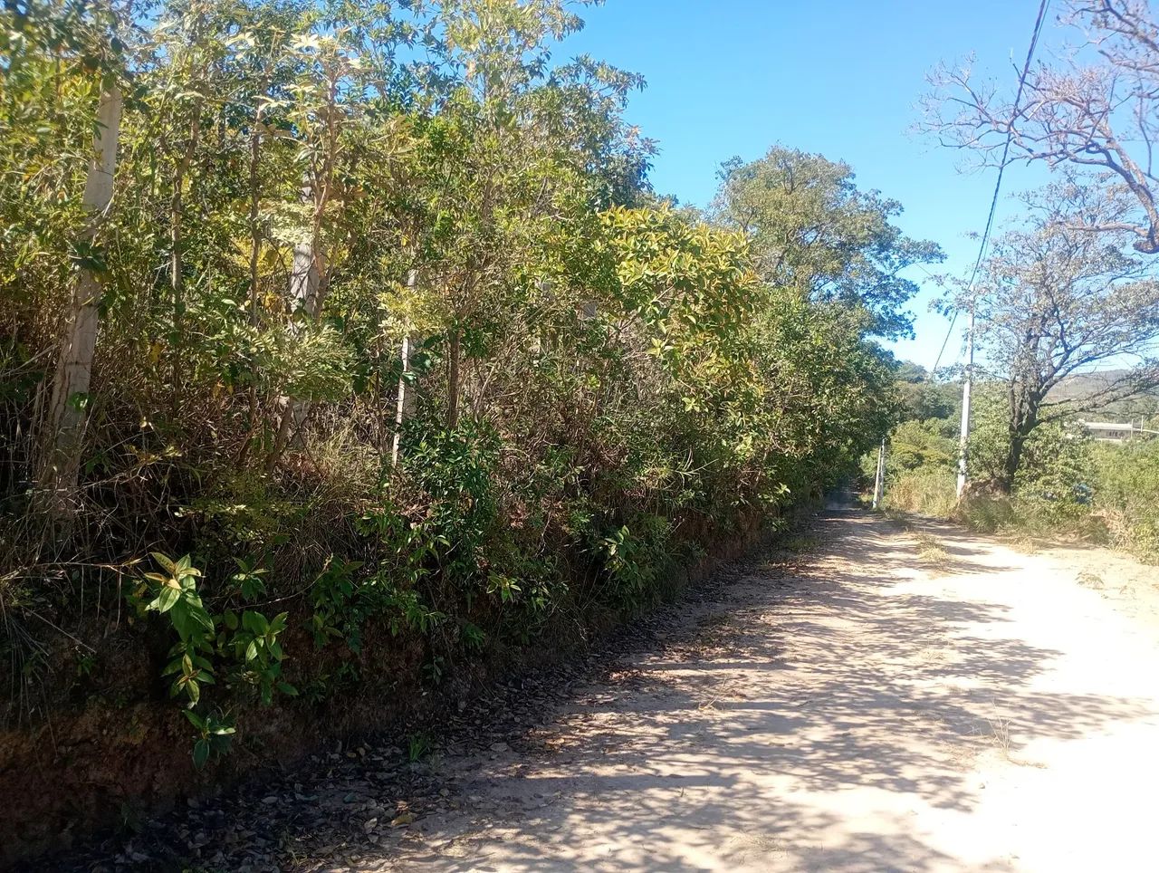 Terreno para chácara  1250 mts - Foto 5