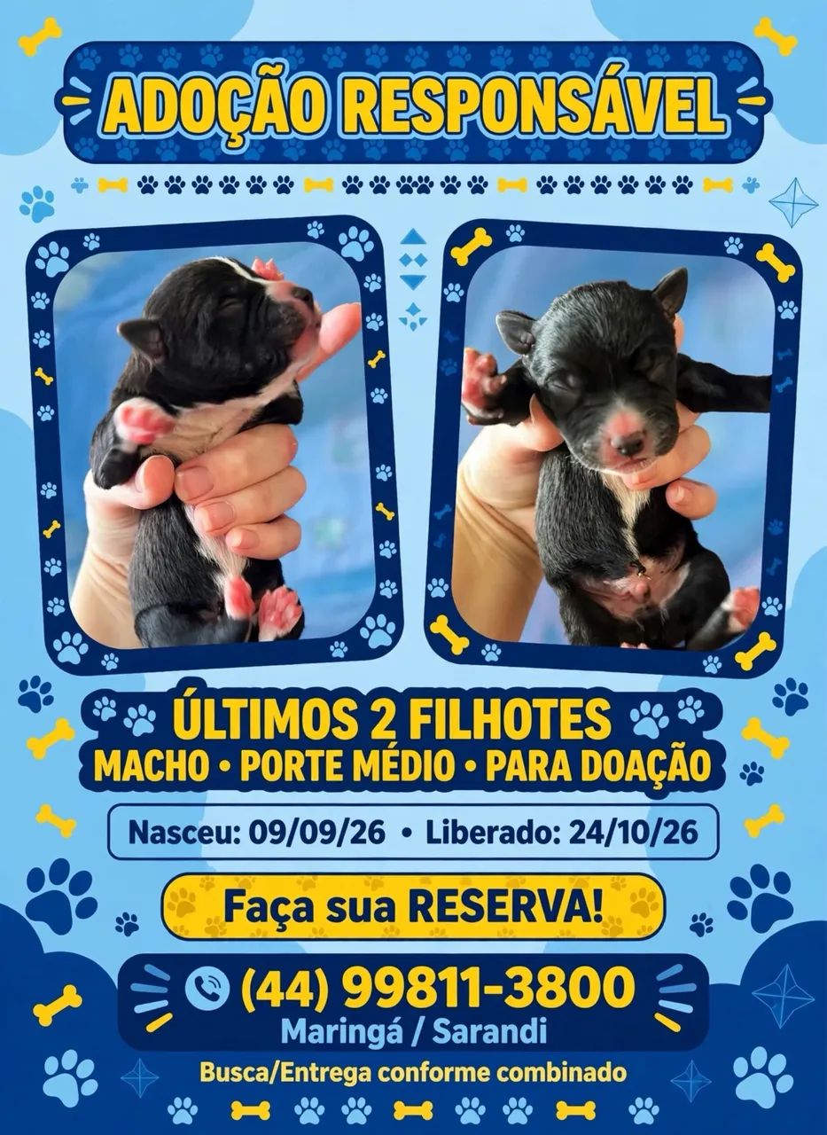 Filhote - Foto 3
