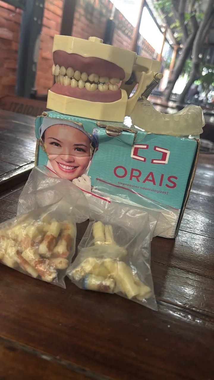 Manequim odontológico de dentista e perio - Foto 3