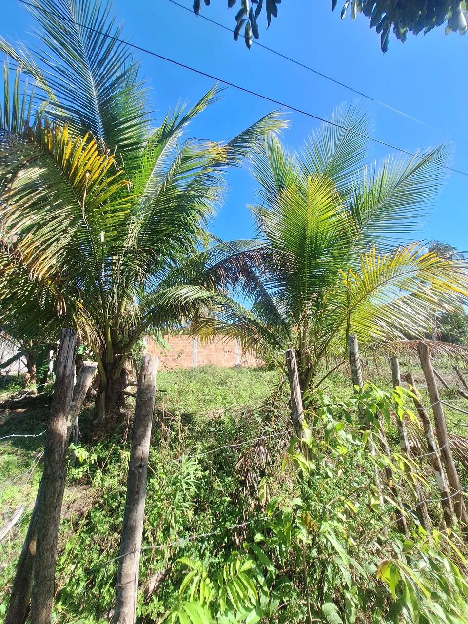 Terreno em salinas da margarida  - Foto 2