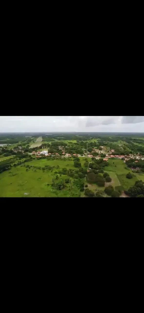 Haras com 15 hectares em PIMDORETAMA - Foto 5