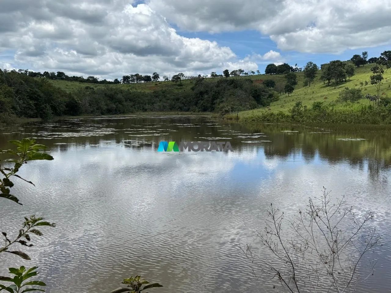 FAZENDA À VENDA - 200 HECTARES - ITAÚNA (MG)