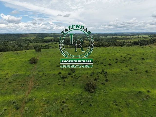 Chácara 8.29 Alqueires Região barrolândia - Foto 3