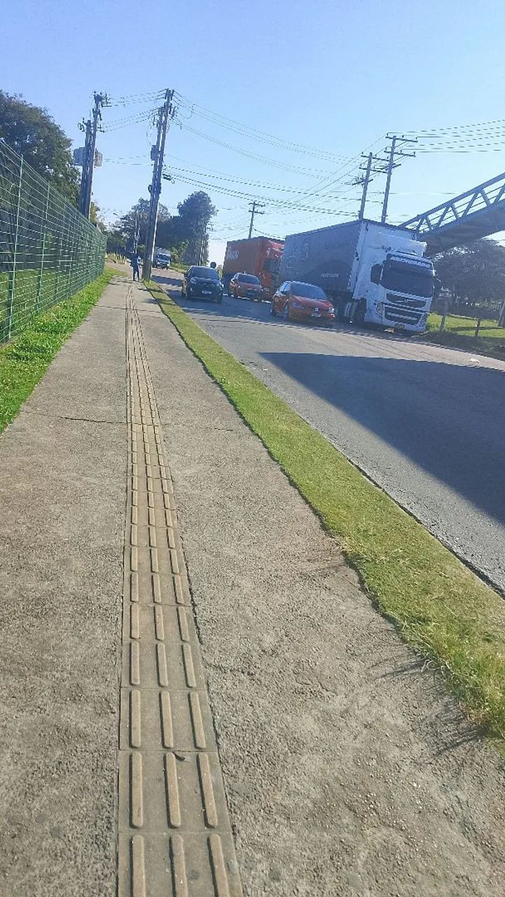 Realizo trabalho de Jardinagem  - Foto 2