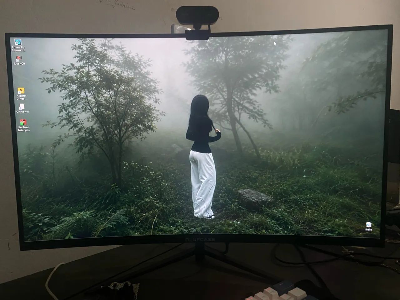 monitor