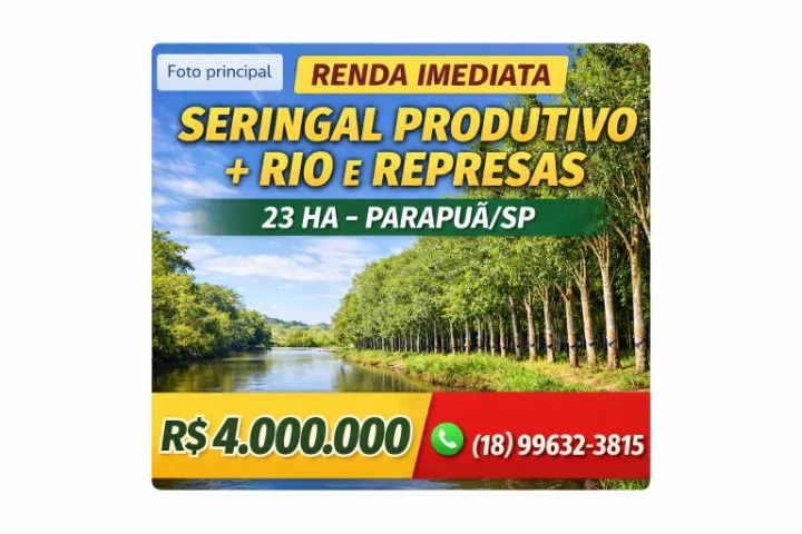 Foto - Parapuã - Centro