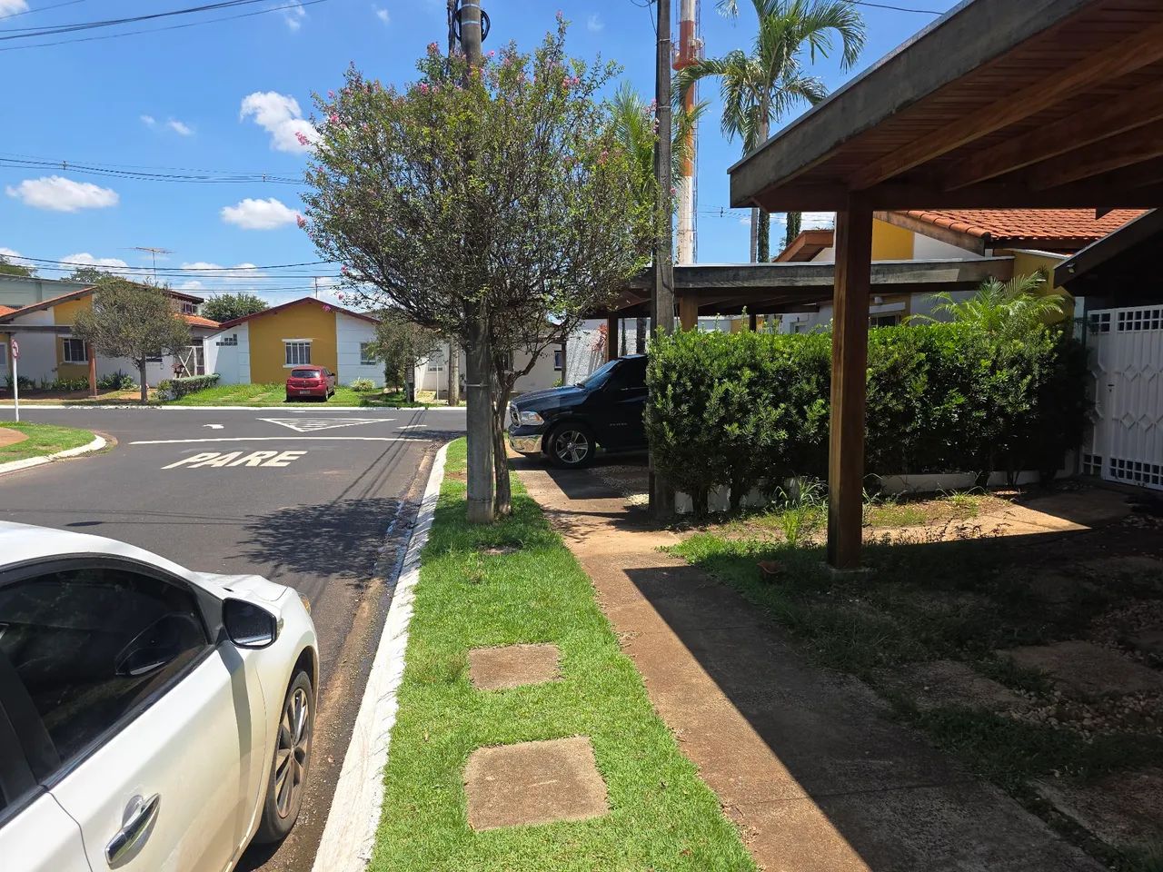 Foto - Ribeirão Preto - Jardim Palma Travassos