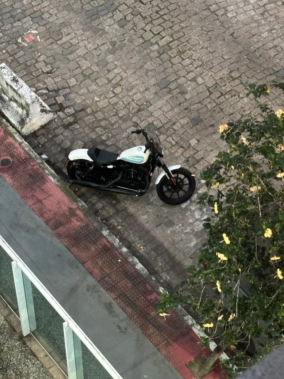 HD Iron XL 1200 - Foto 3
