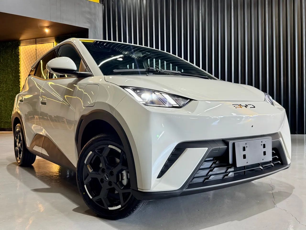 BYD Dolphin Mini (Elétrico) 2027 - Foto 5