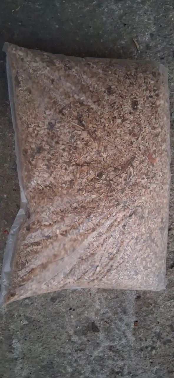 Serragem de eucalipto 2kg  - Foto 3