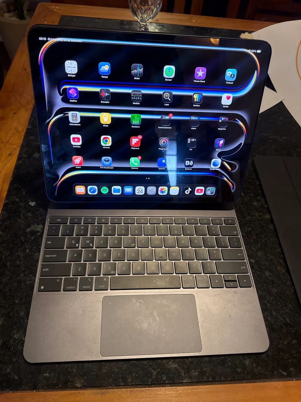 iPad Pro M4 13' 256gb WIFI, Apple Pencil Pro (excelente estado e