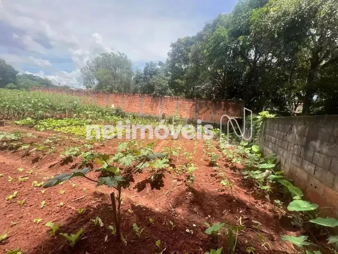 Lote a venda na Pampulha 468m²; - Foto 4
