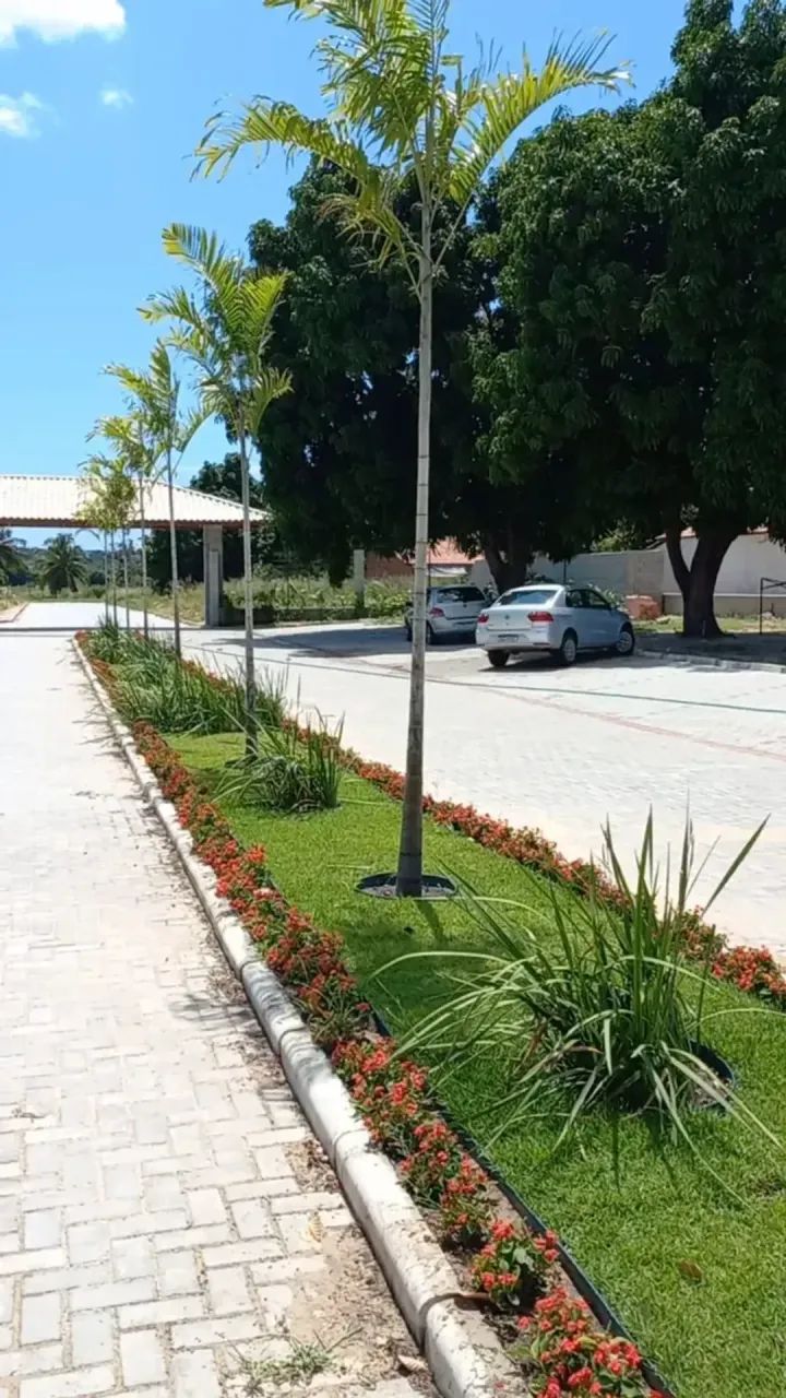 LOTES EM PINDORETAMA COM INFRAESTRUTURA COMPLETO