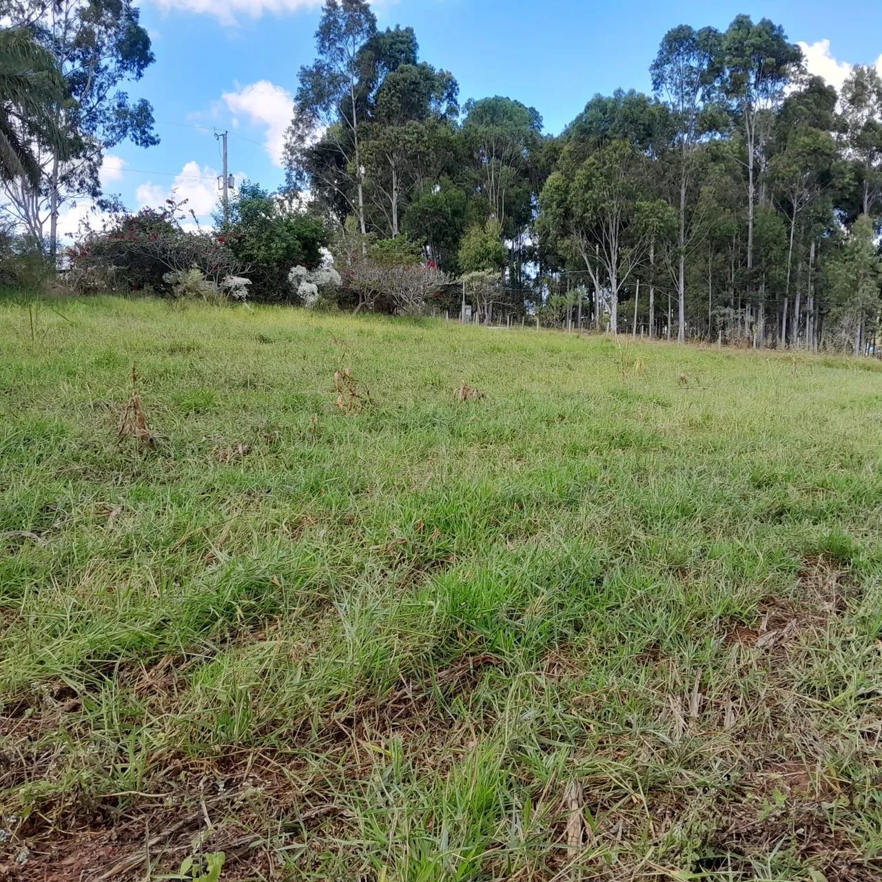 Terreno rural no portal serra azul - Foto 5