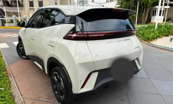 BYD Dolphin Mini GS EV 2025 - Foto 3