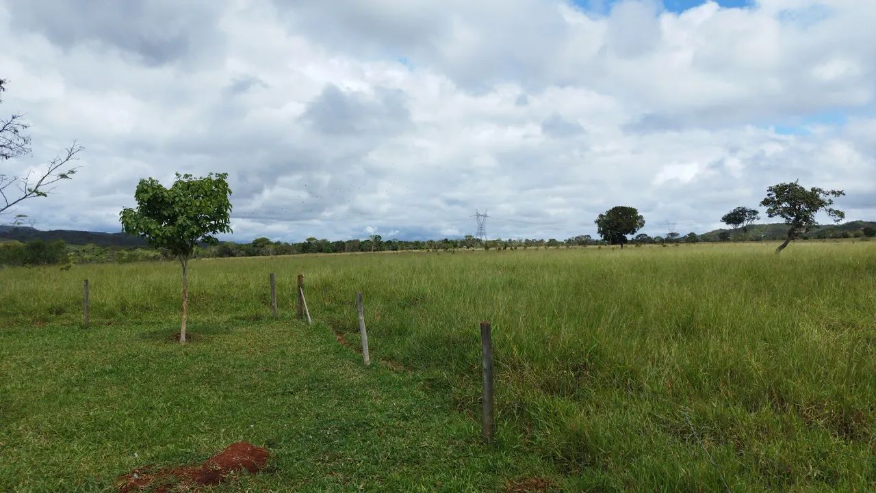 Chácara no Altiplano Leste com terreno totalmente plano - Foto 4