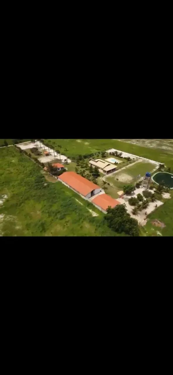 Haras com 15 hectares em PIMDORETAMA - Foto 3