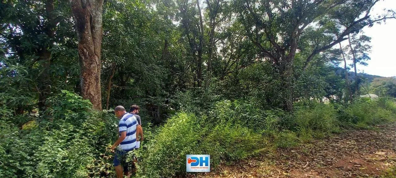Chácara à Venda em Taquaruçu - Palmas Tocantins - Foto 5