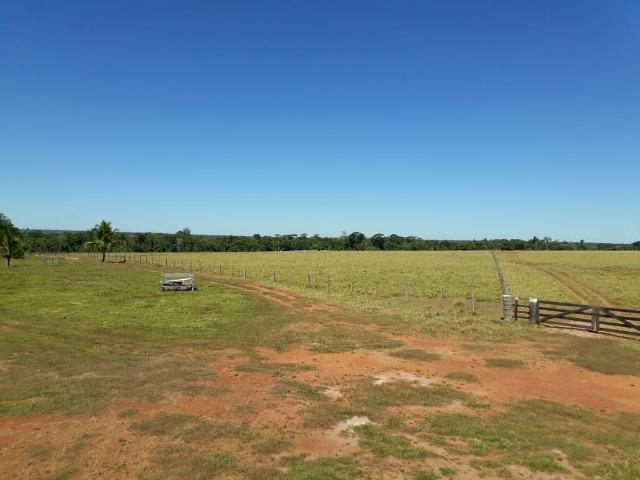 Fazenda no município de Itaúba -MT 1.457 hectares com 457 aberto - Foto 11
