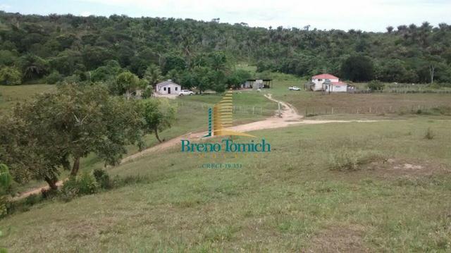 Fazenda 90KM de Eunápolis - Foto 2