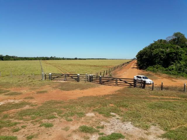 Fazenda no município de Itaúba -MT 1.457 hectares com 457 aberto - Foto 13