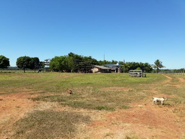 Fazenda no município de Itaúba -MT 1.457 hectares com 457 aberto - Foto 6