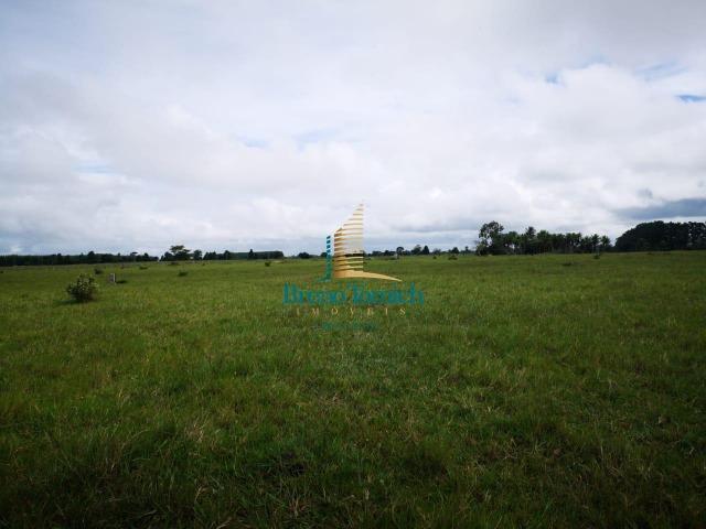 Fazenda á 3Km de Eunápolis - Foto 13