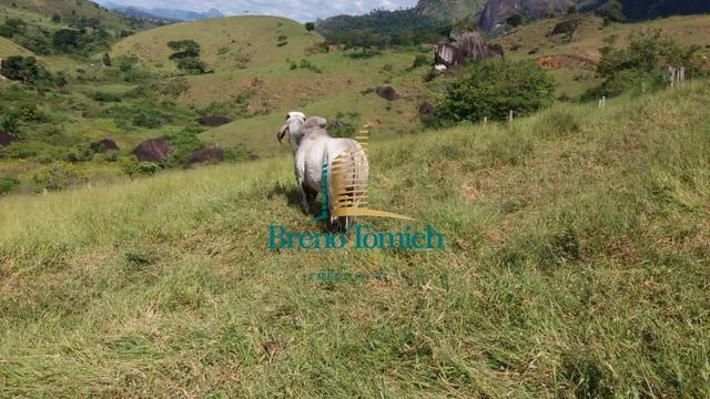 Fazenda á 62KM de Eunápolis - Foto 6