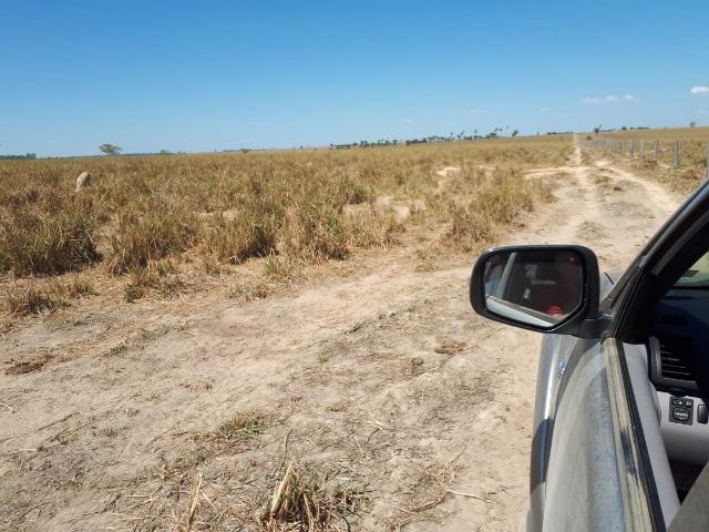 Fazenda de 220 alqueire em Novo Mundo -MT - Foto 10