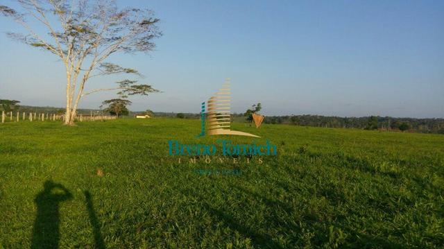 Fazenda á 80KM de Eunápolis - Foto 13