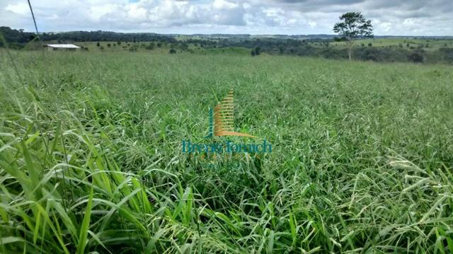 Fazenda em Santa Maria Eterna - Foto 20
