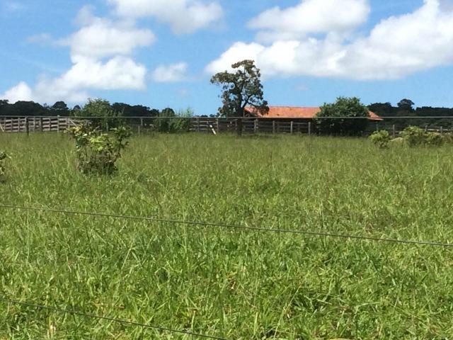 Fazenda 70 alqueires em Anicuns muito boa!!! - Foto 4