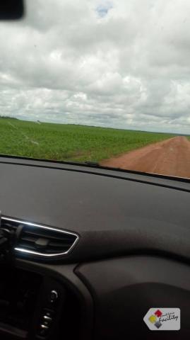 Fazenda de grãos em pontes e lacerda - mato grosso - Foto 18