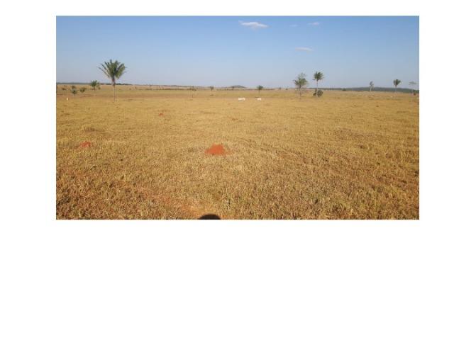 645 Hectares,40% argila,pecuária, Excelente para soja Próximo MT-220 - Foto 4
