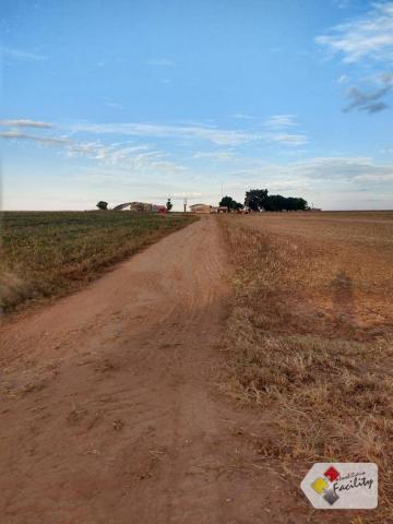 Fazenda de grãos em pontes e lacerda - mato grosso - Foto 2