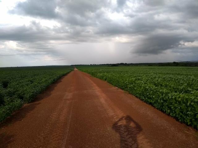 Fazenda em Santa Maria das barreiras-Pa - Foto 5