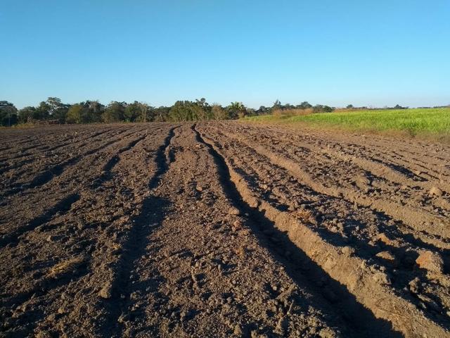 Fazenda em Santa Maria das barreiras-Pa - Foto 4