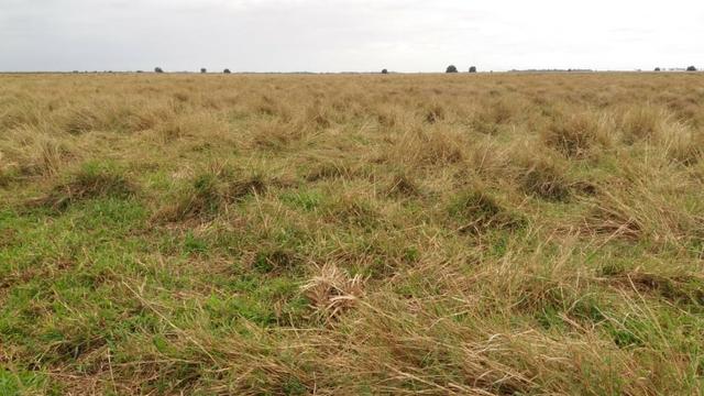 Venda-se está fazenda de 88 Alqueires no Estado do Rio de janeiro/ RJ - Foto 17