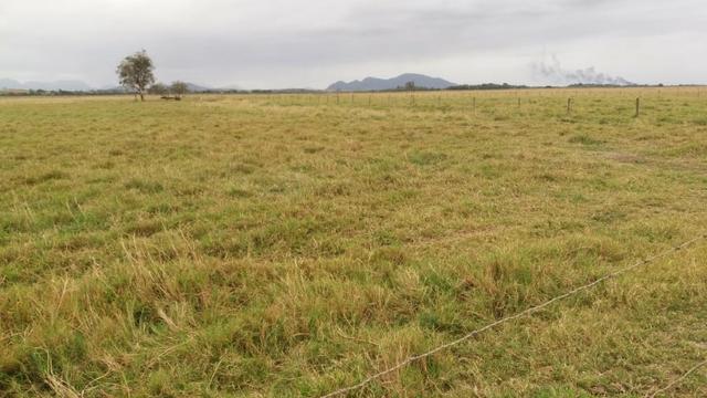 Venda-se está fazenda de 88 Alqueires no Estado do Rio de janeiro/ RJ - Foto 4
