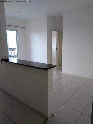 Apartamento à venda com 2 dormitórios em Morada de laranjeiras, Serra cod:AP00140 - Foto 5