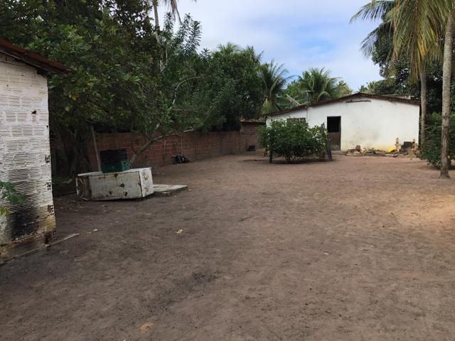 Sol 22 - Excelente Granja sendo 6385m² no Centro - São José de Mipibu - RN - Foto 12