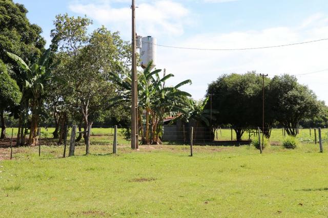 Chácara na região de Santo Antônio de Cuiabá com 32 HA Uma propriedade dos sonhos a 25 - Foto 17
