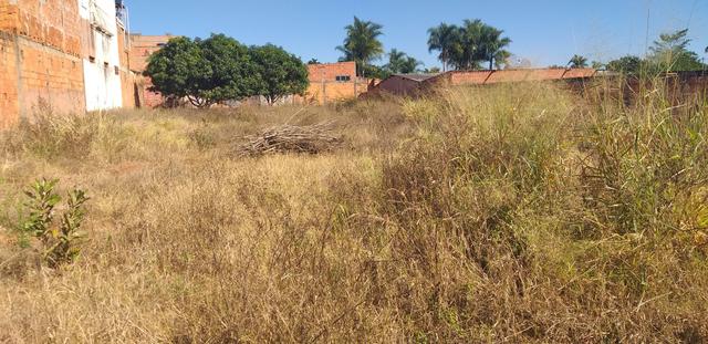 Oportunidade em planaltina DF vendo excelente lote de 1.150 metros no araponga - Foto 7