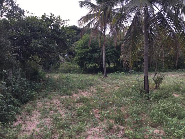 Sol 22 - Excelente Granja sendo 6385m² no Centro - São José de Mipibu - RN - Foto 16