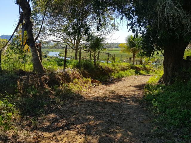 Vendo fazenda em Nova Almeida - Foto 5