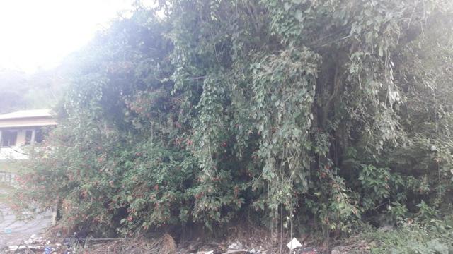 Terreno 2420 m², Chalé 2, Pinheiral